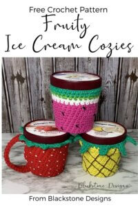 Fruity Ice Cream Cozies Pinterest graphic